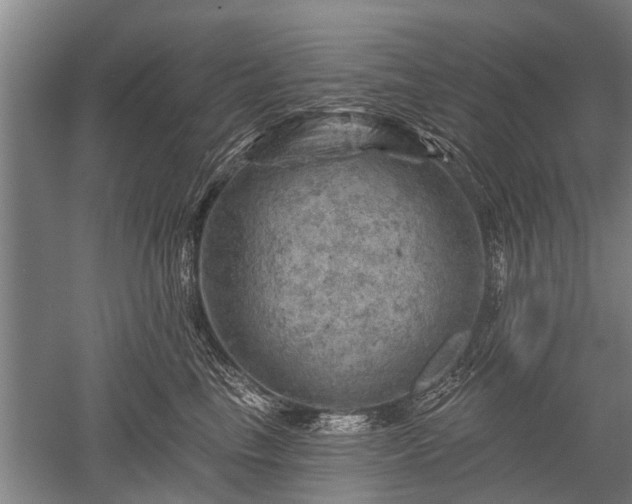 X0000052570665200507081703