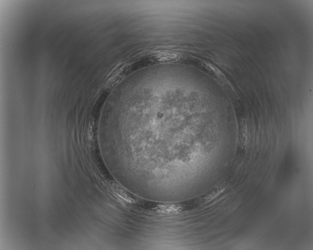 X0000052570667200507081703