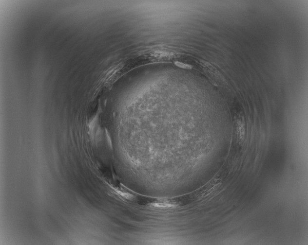 X0000052570668200507081703