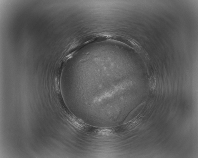 X0000052570669200507081703