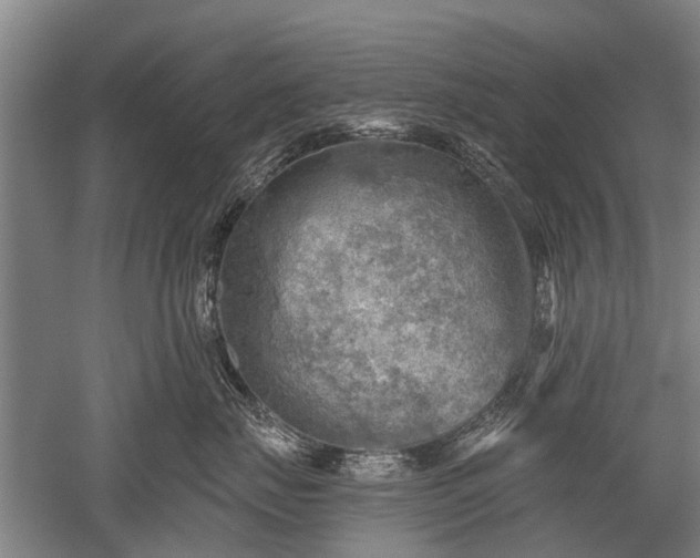 X0000052570671200507081703