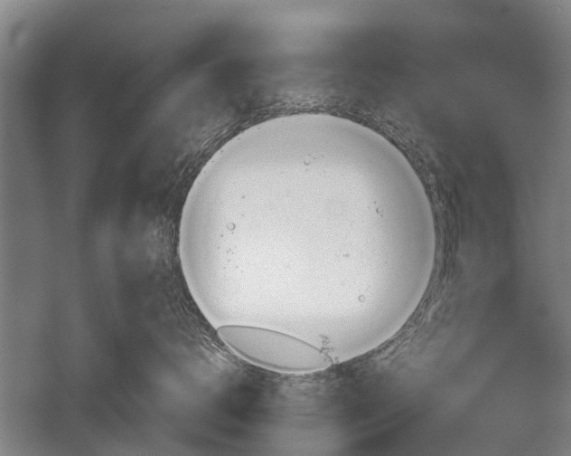 X0000052570672200507081703