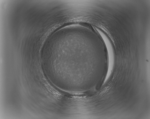 X0000052570673200507081702