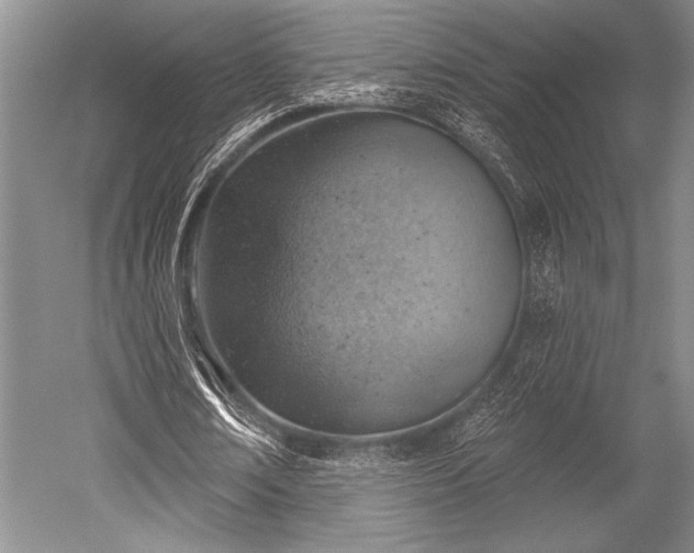 X0000052570674200507081702