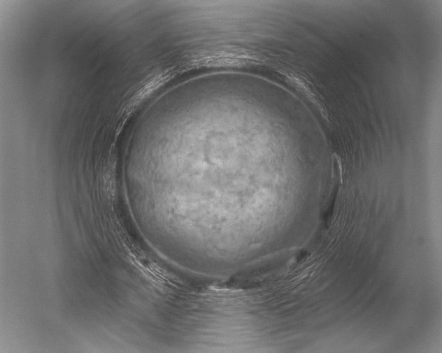 X0000052570675200507081702