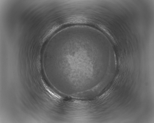 X0000052570677200507081702