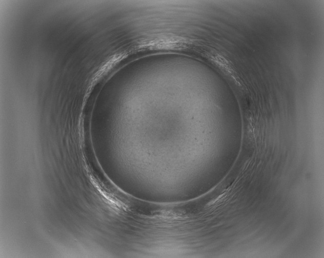 X0000052570678200507081702