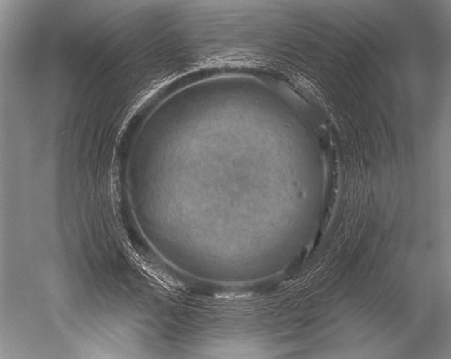 X0000052570680200507081702