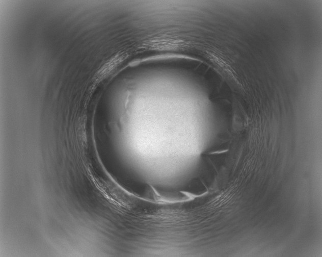 X0000052570682200507081702