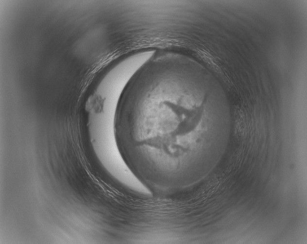 X0000052570683200507081702