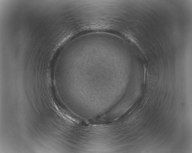 X0000052570684200507081702