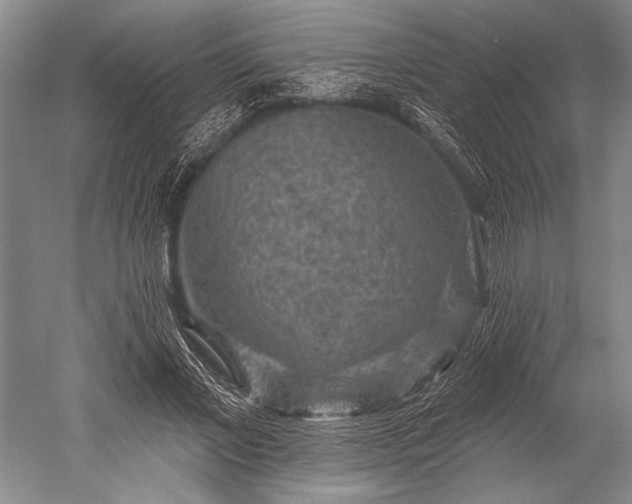 X0000052570685200507081702