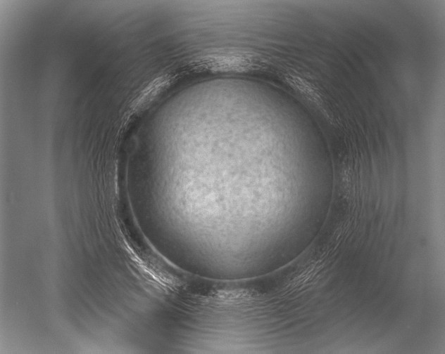 X0000052570686200507081702