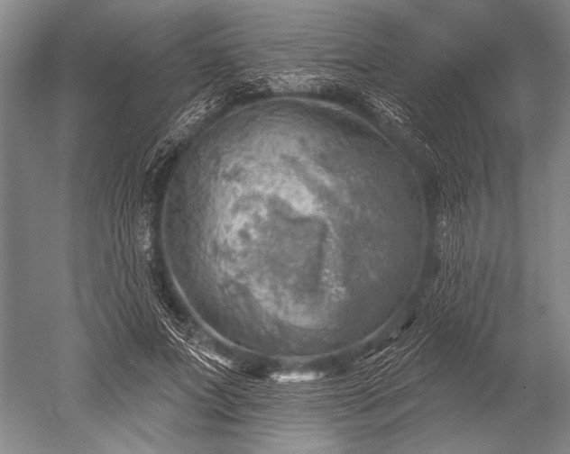 X0000052570687200507081702