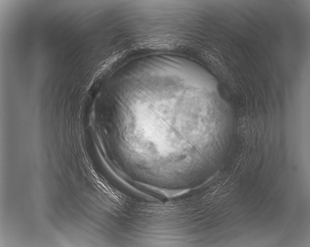 X0000052570688200507081702