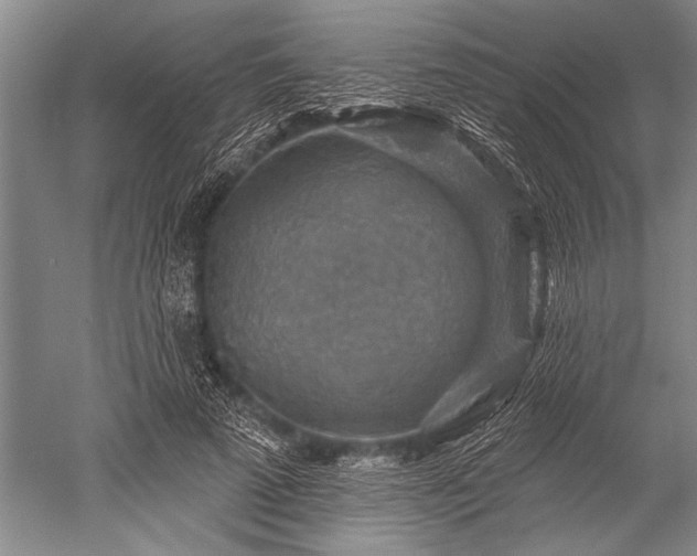 X0000052570689200507081702