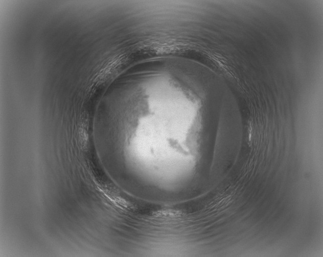 X0000052570691200507081702