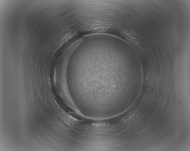 X0000052570693200507081702