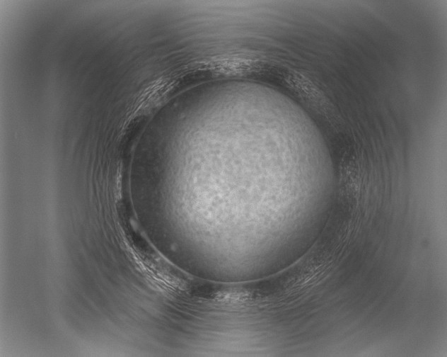 X0000052570694200507081702