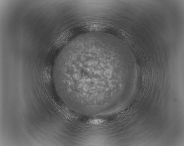 X0000052570695200507081702