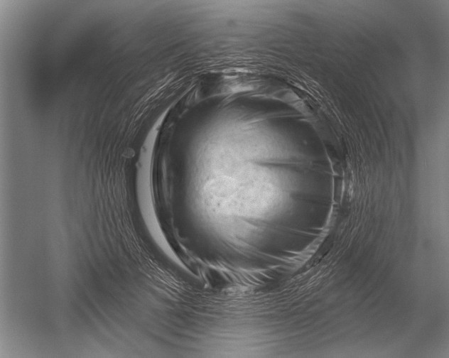 X0000052570697200507081702