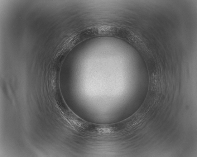 X0000052570698200507081702