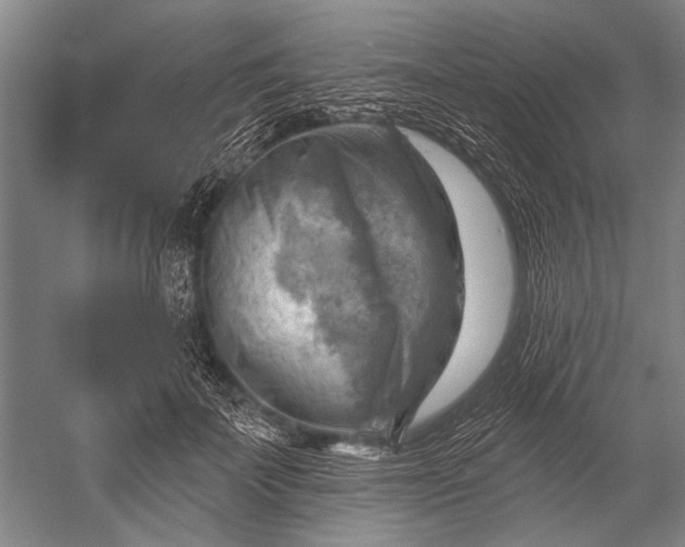 X0000052570699200507081702