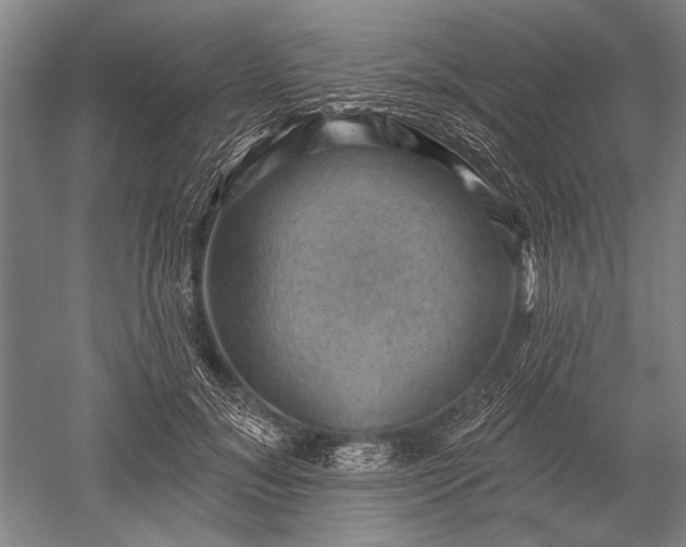 X0000052570700200507081702