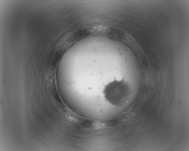 X0000052570701200507081702