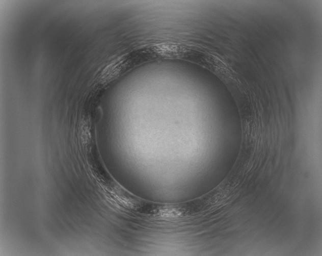 X0000052570702200507081702