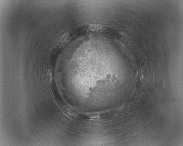 X0000052570703200507081702