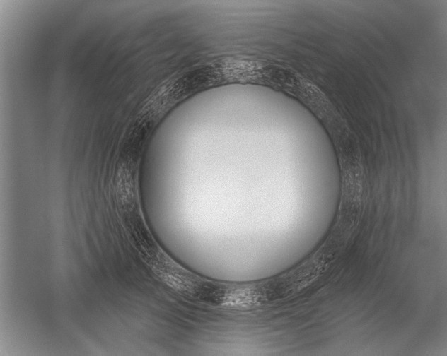 X0000052570705200507081702