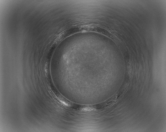 X0000052570708200507081702