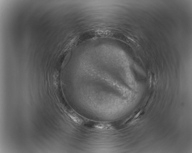 X0000052570712200507081702