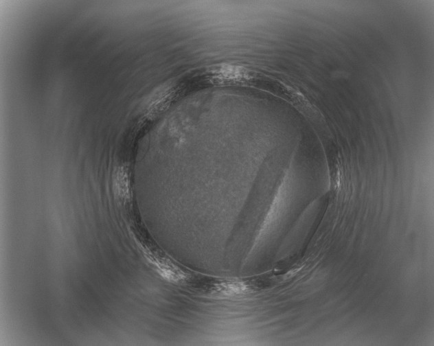 X0000052570715200507081702