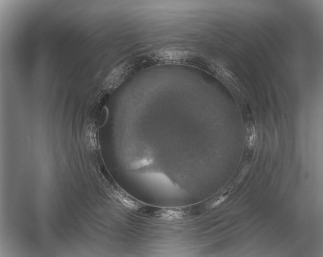 X0000052570718200507081702