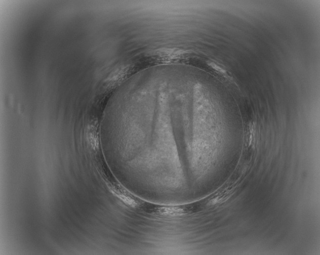 X0000052570719200507081701