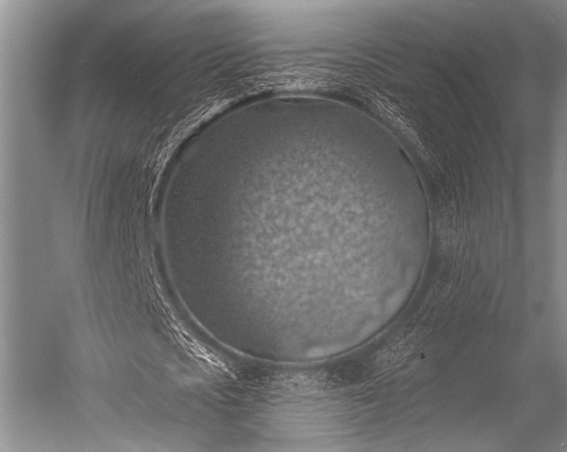 X0000052570721200507081701