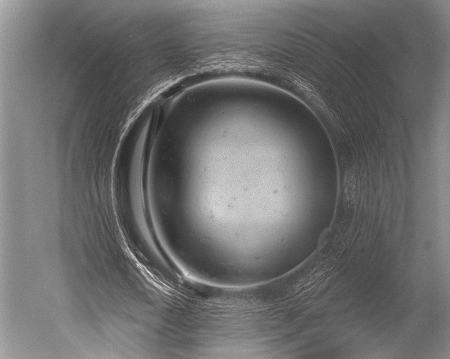 X0000052570722200507081701