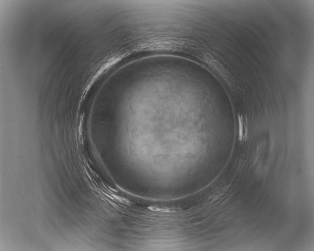 X0000052570723200507081701