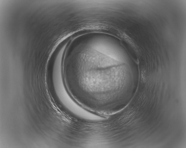 X0000052570724200507081701