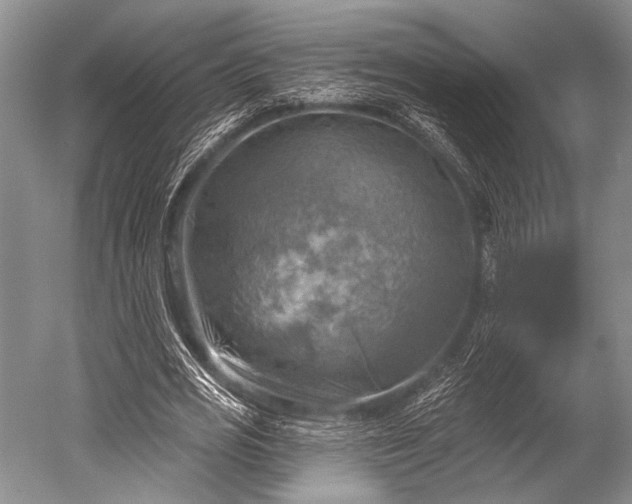 X0000052570725200507081701