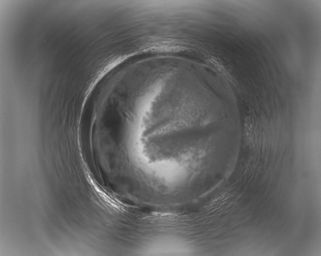 X0000052570726200507081701