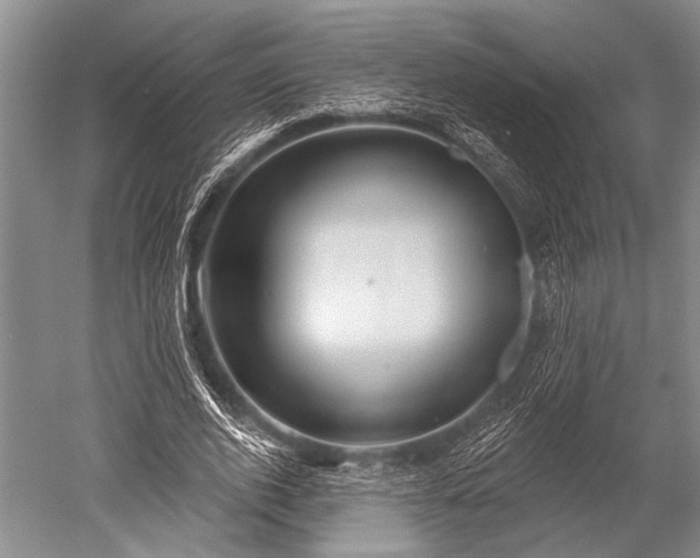 X0000052570728200507081701