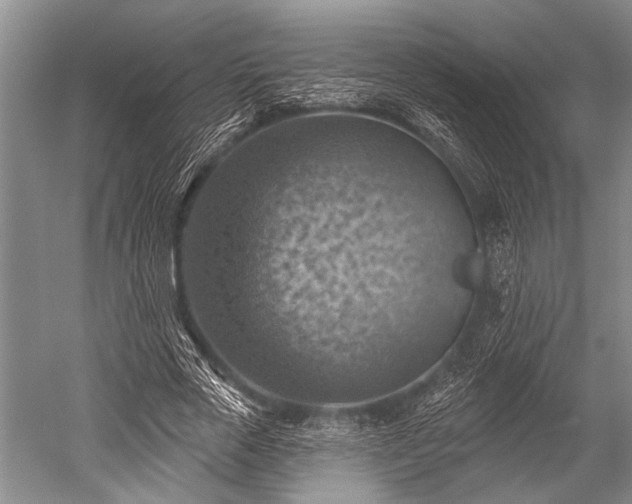 X0000052570729200507081701