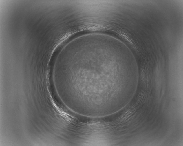 X0000052570730200507081701