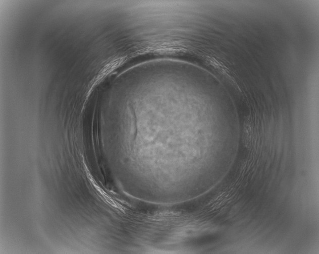 X0000052570734200507081701