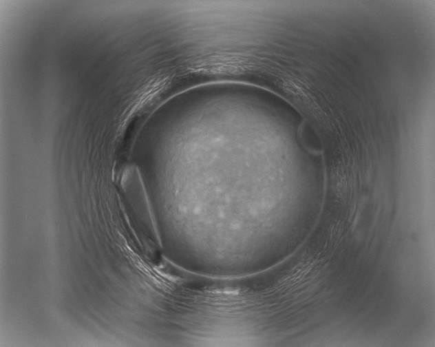 X0000052570735200507081701