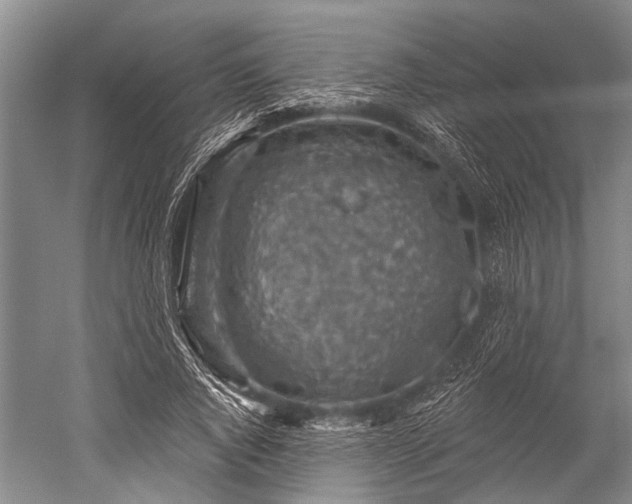 X0000052570736200507081701