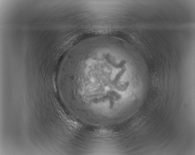 X0000052570737200507081701